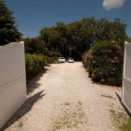 Chambres d'Hôtes Le Mas du Bijou Bleu Puget-sur Argens Exterior foto