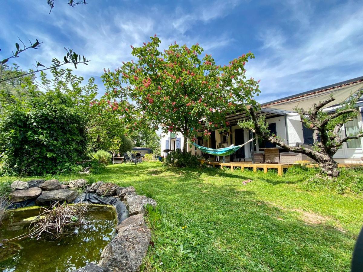 Chambres d'Hôtes Le Mas du Bijou Bleu Puget-sur Argens Exterior foto