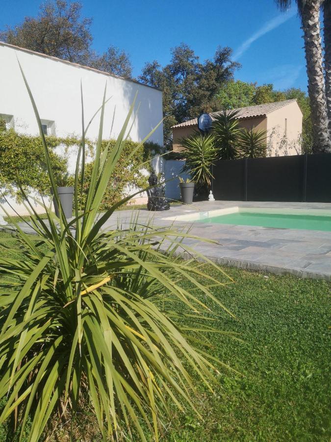Chambres d'Hôtes Le Mas du Bijou Bleu Puget-sur Argens Exterior foto