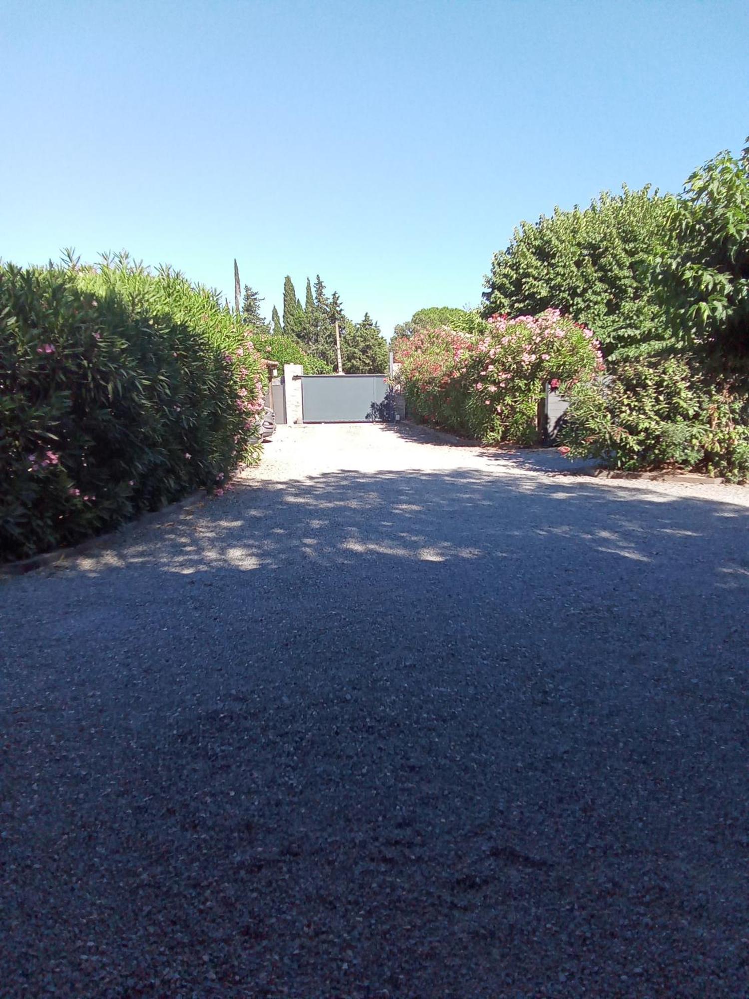 Chambres d'Hôtes Le Mas du Bijou Bleu Puget-sur Argens Exterior foto