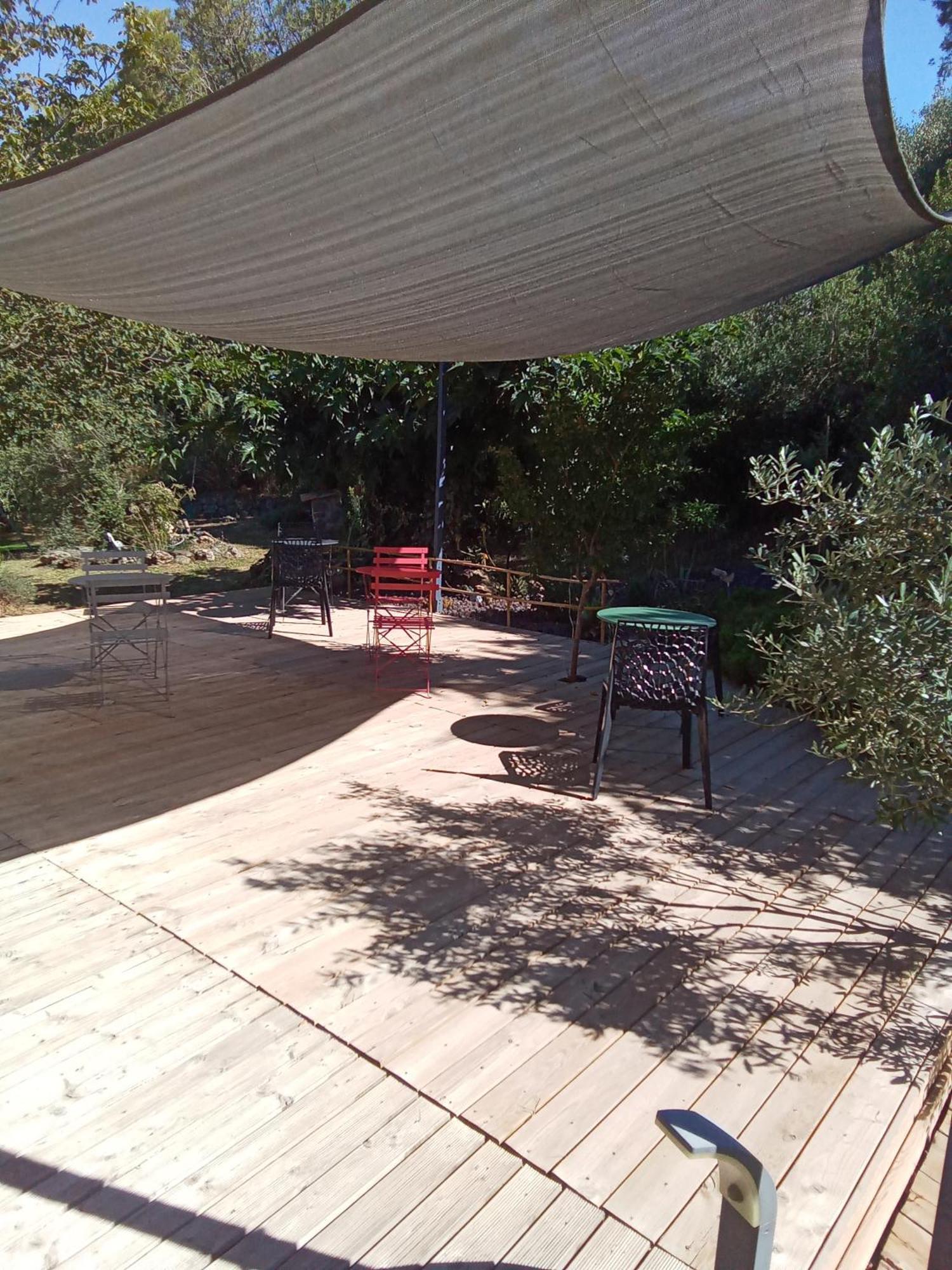 Chambres d'Hôtes Le Mas du Bijou Bleu Puget-sur Argens Exterior foto