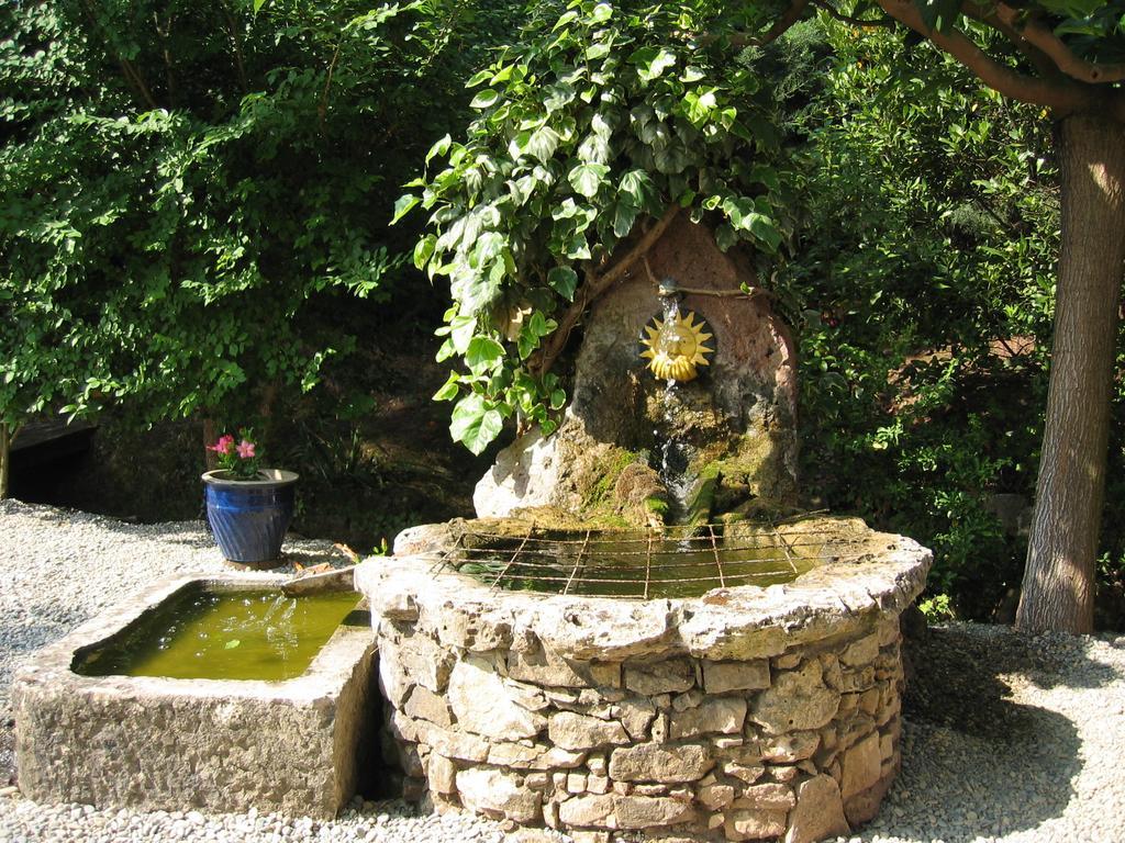Chambres d'Hôtes Le Mas du Bijou Bleu Puget-sur Argens Exterior foto